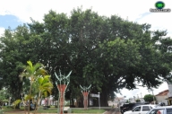 Praça da República, Paranaíba - MS
