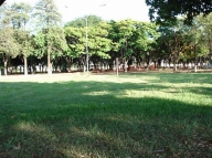 Bosque da Cidade - Anglica MS